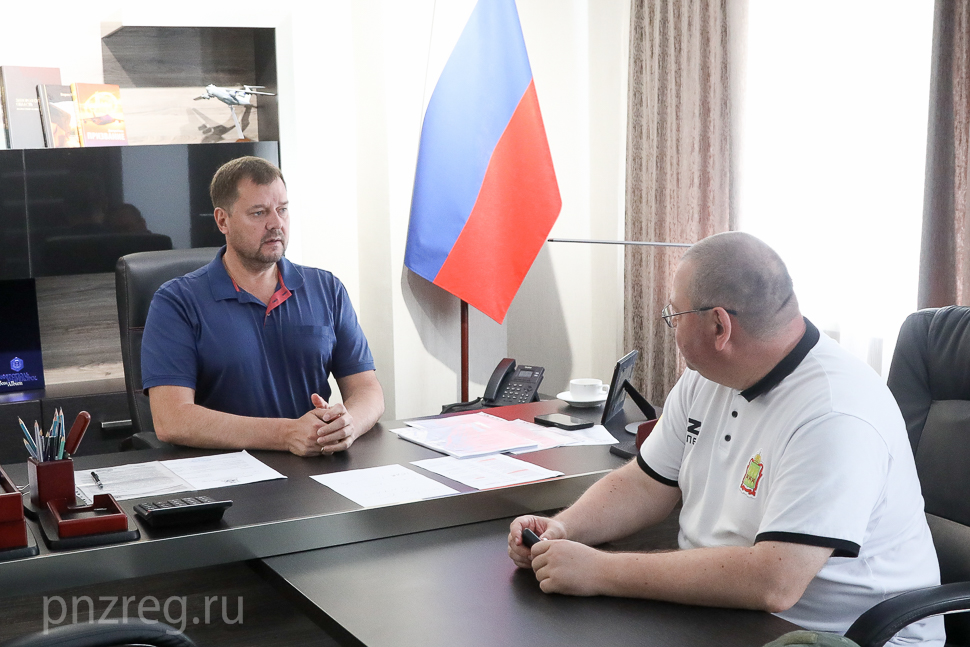 Мельниченко и Балицкий обсудили сотрудничество Пензенской и Запорожской областей