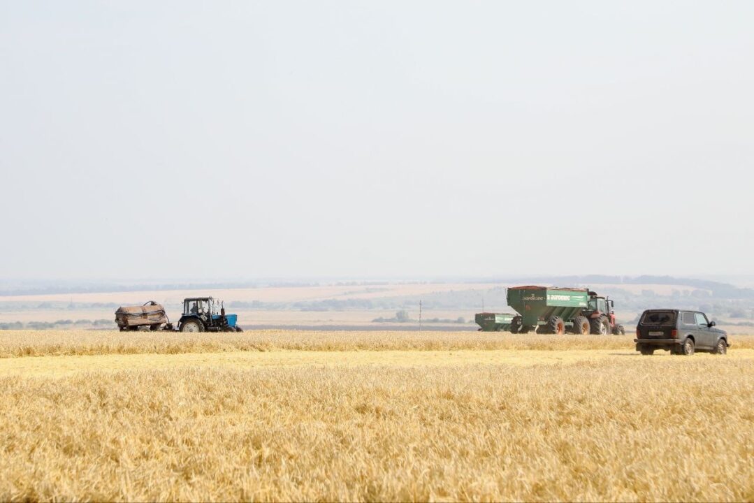В Пензенской области собрали более 1 млн тонн зерновых — Олег Мельниченко