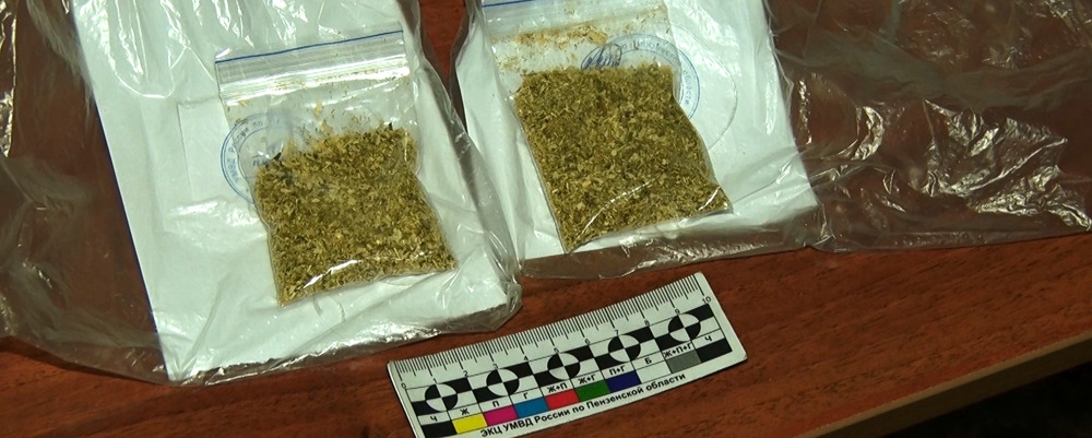 В Пензе полицейские обнаружили у местного жителя 71 грамм марихуаны