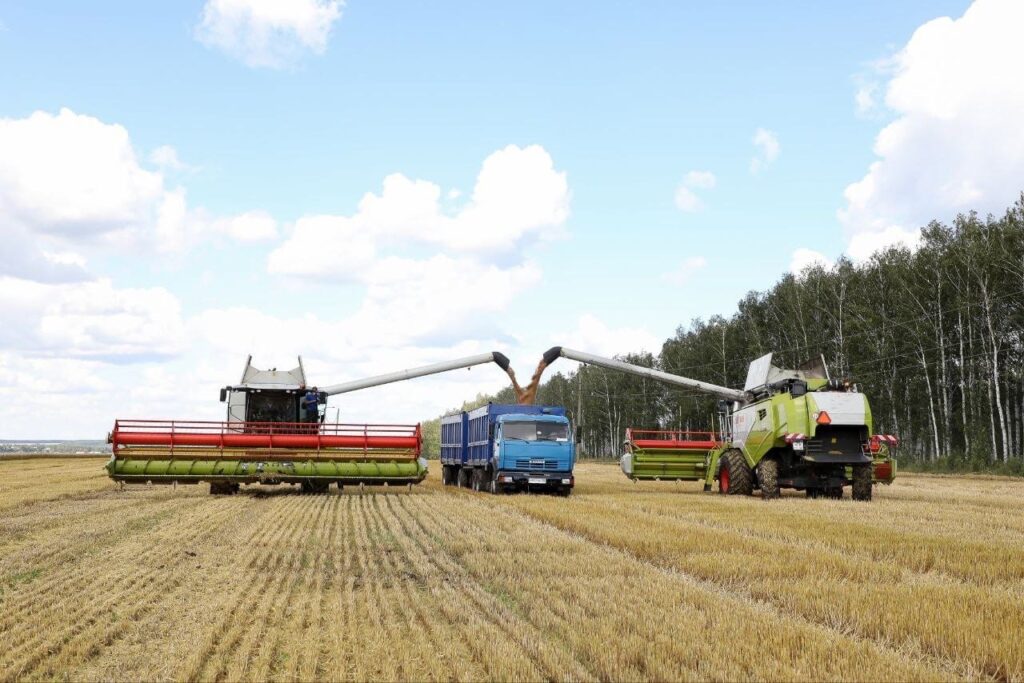 В Пензенской области собрано 2 млн тонн зерна