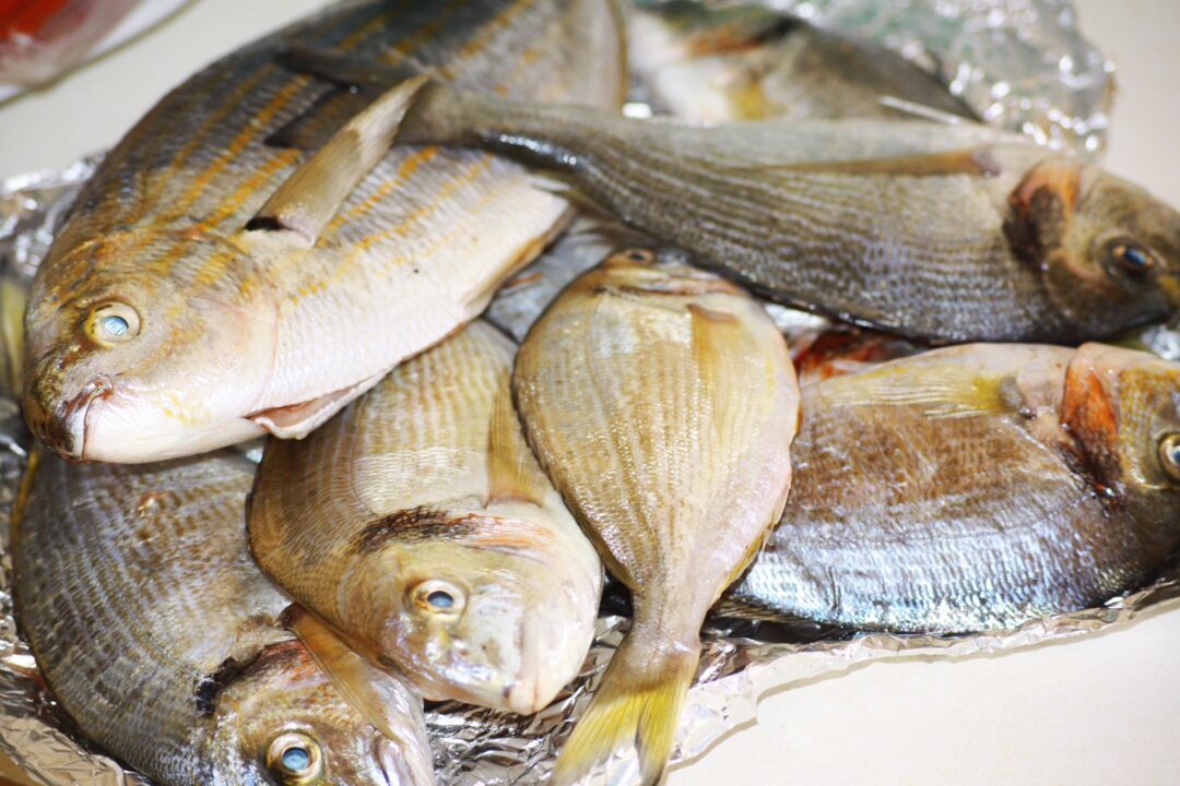 В Пензенской области в 2022 году направлено 10 проб рыбы для исследования на виремию
