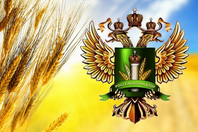В Пензенской области Россельхознадзор провел 72 профилактических мероприятия