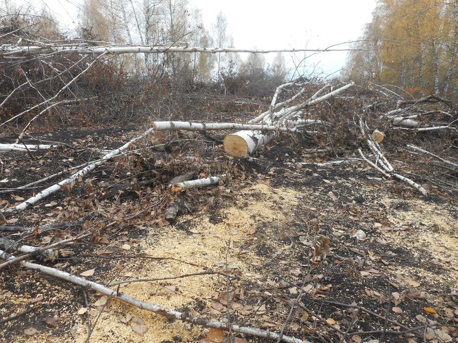 В Пензенской области собственнику земельного участка объявлено предостережение