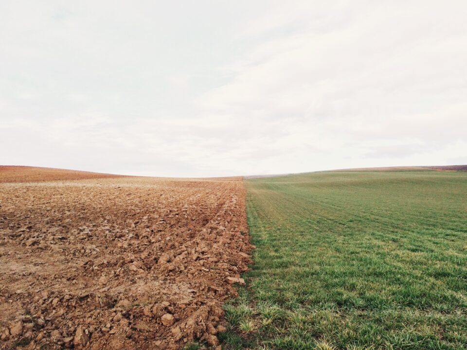 В Пензенской области введено в сельскохозяйственный оборот свыше 3 тыс. га пахотных земель