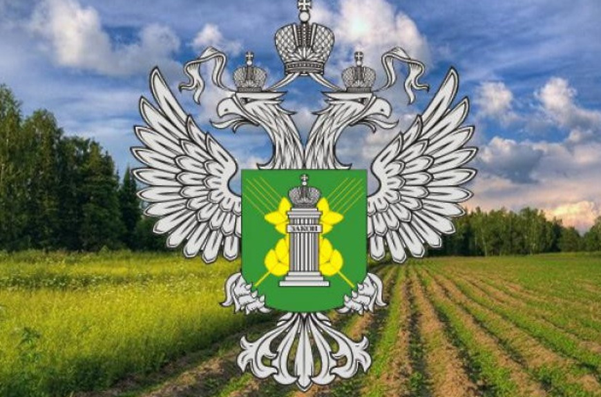 В Пензенской области подведены некоторые итоги государственного ветнадзора