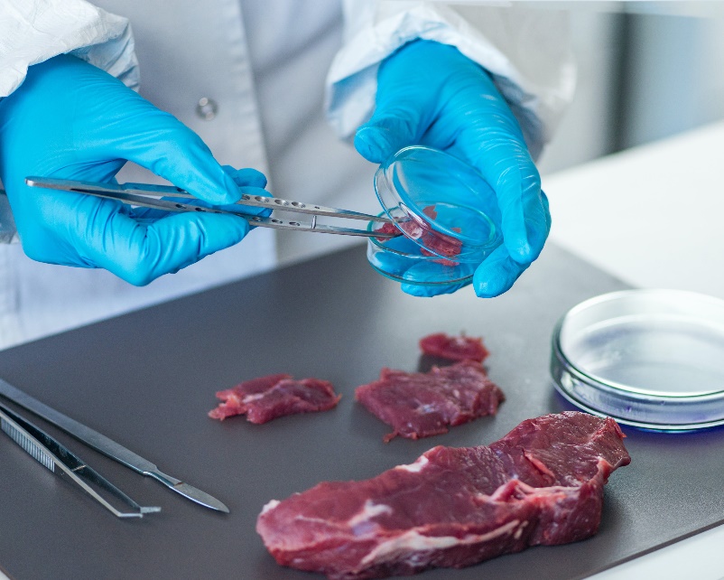 В Пензенской области в мясе говядины выявлено содержание остатка лекарственного средства