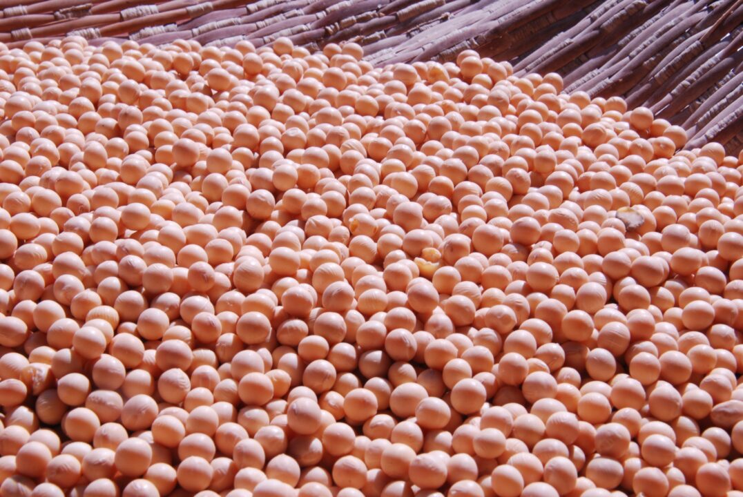 C начала 2023 года из Пензенской области экспортировано более 11 тыс. тонн зерна