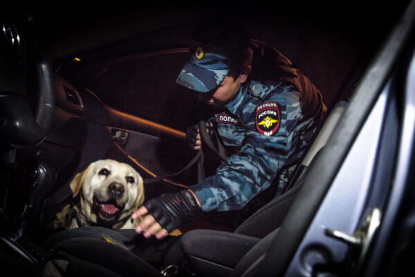 В Пензенской области полицейские пресекли перевозку 10 кг «синтетики» наркокурьером из Подмосковья