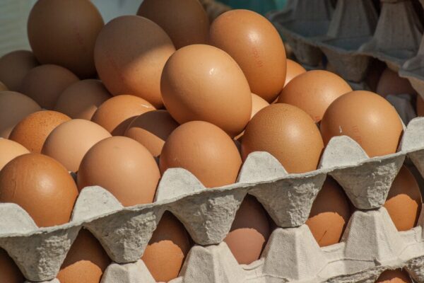 В пензенских магазинах продолжают стремительно дорожать куриные яйца