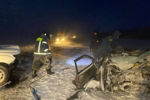 Три человека погибли и два пострадали в ДТП в Пензенской области