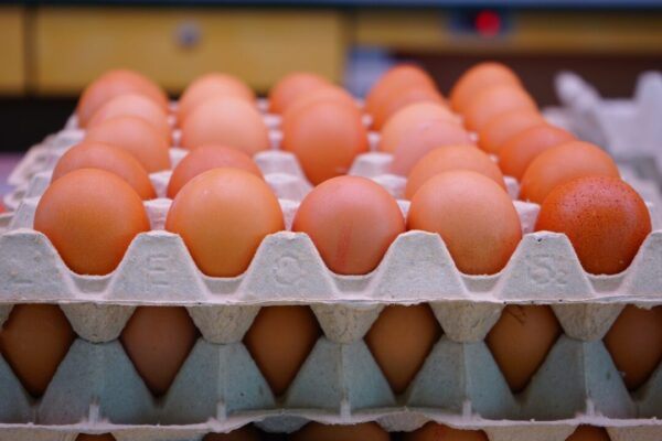 Правительством РФ одобрено обнуление импортных пошлин на яйца