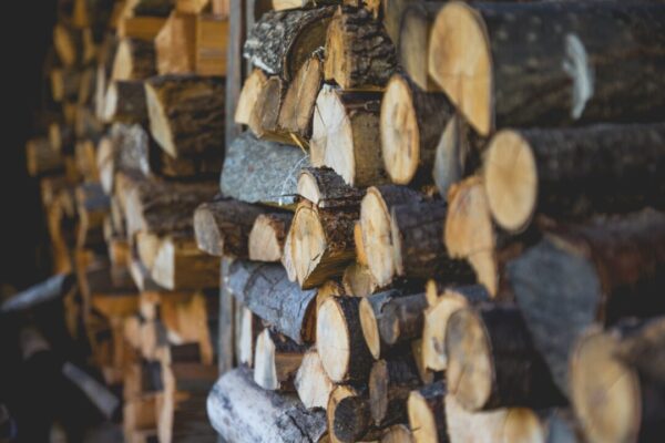 В Пензенской области выявлены нарушения при вывозе лесоматериалов