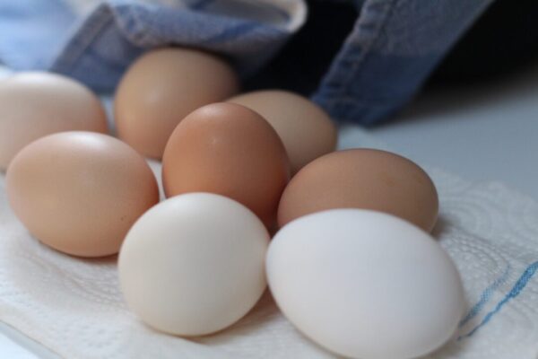 В Росстате заявили о снижении цен на куриные яйца