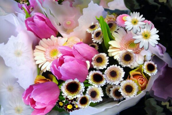 В Пензе с 5 марта будут работать цветочные ярмарки