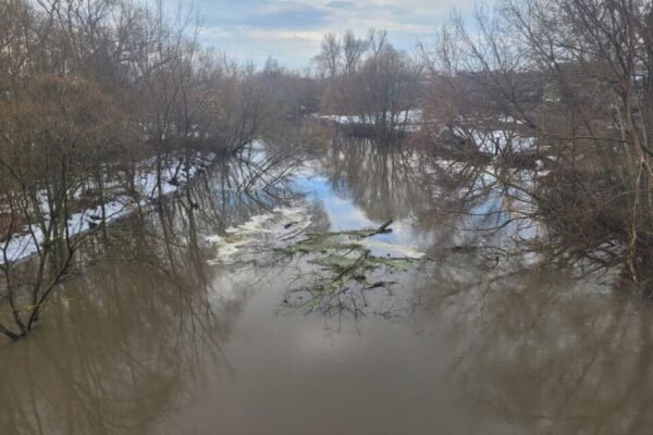 В Нижнем Ломове уровень воды в реке близок к критическому